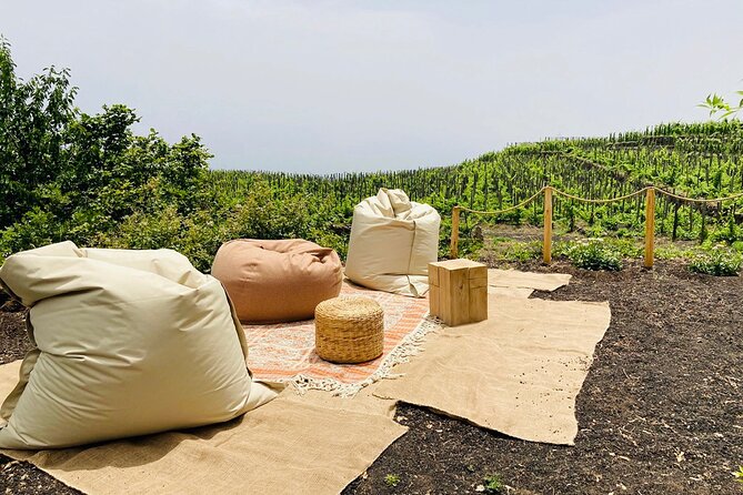 Private Wine and Food Tasting Immersed in Nature in Milo - Customer Reviews and Feedback