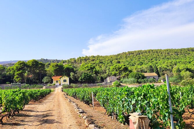 Private Wine and Gin Tour Around the Island of Korcula - Operating Hours and Accessibility