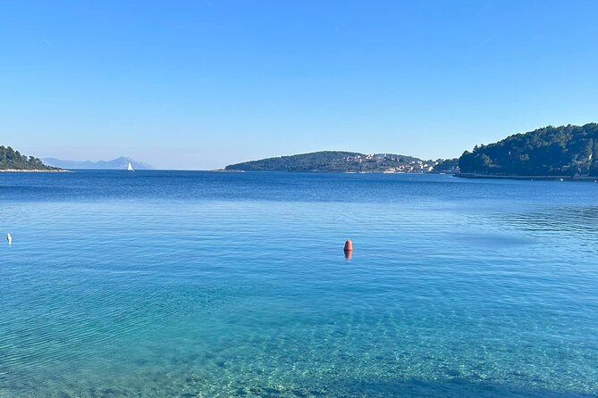 Private Wine and Gin Tour Around the Island of Korcula - Experiencing the Private Tour