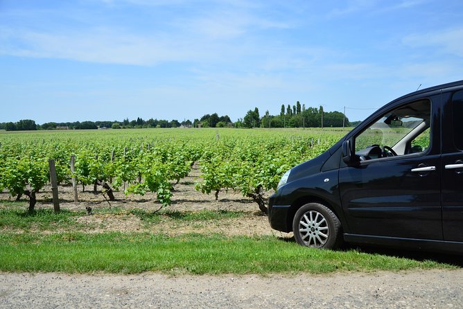 Private Wine & Cheese Tour to Loire Valley Vineyards From Paris - Pairing Wines With Cheeses