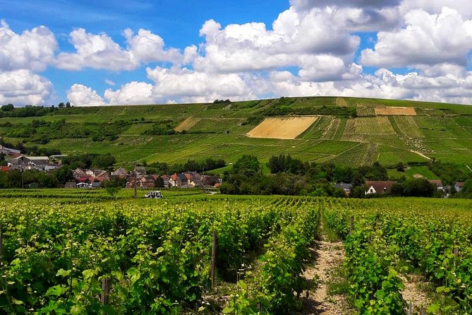 Private Wine & Cheese Tour to Loire Valley Vineyards From Paris - Transportation and Meeting Details