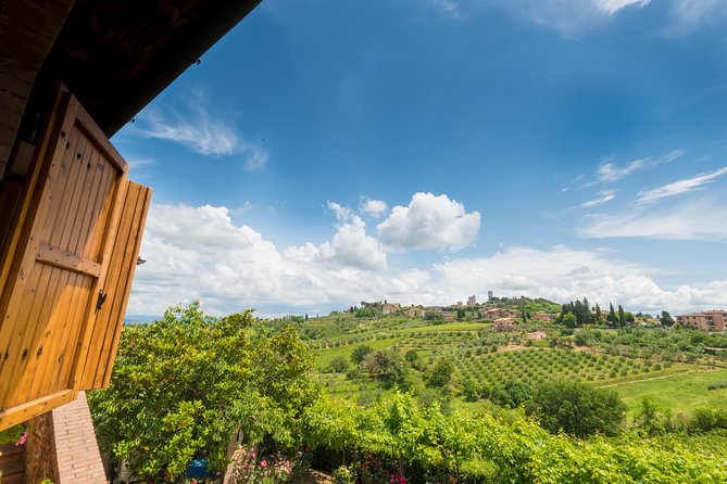 Private Wine & EVO Oil Tasting With Tuscan Meal - Indulgent Dessert Experience