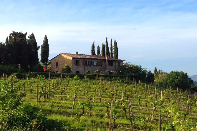 Private Wine & EVO Oil Tasting With Tuscan Meal - Meeting Point and Accessibility