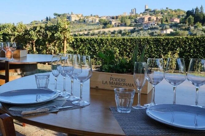 Private Wine & EVO Oil Tasting With Tuscan Meal - Glowing Customer Reviews