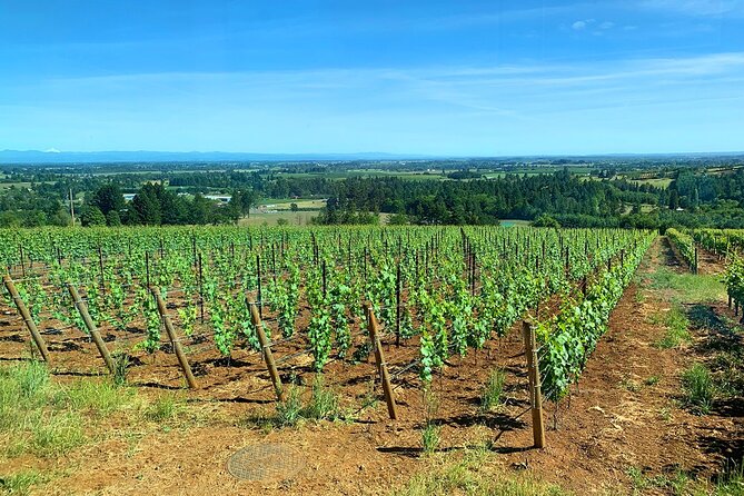 Private Wine Excursion Willamette Valley, Oregon - Wine Tour - Private Tour and Activity Details