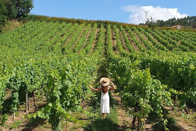 Private Wine Experience in Rota Do Vinho Verde With Lunch - Booking and Cancellation Policies