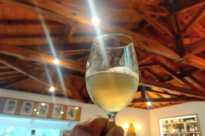 Private Wine Experience in Rota Do Vinho Verde With Lunch - Ratings and Reviews