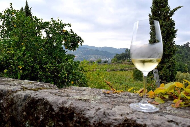 Private Wine Experience in Rota Do Vinho Verde With Lunch - Frequently Asked Questions