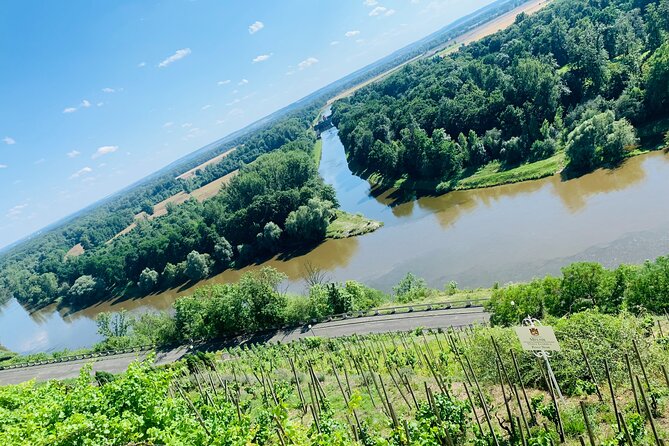 Private Wine, Food & Heritage Tour From Prague to Bohemia - Immersive Wine Experience