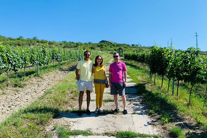 Private Wine, Food & Heritage Tour From Prague to Bohemia - Curated Winery Visits