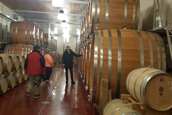 Private Wine, Food & Heritage Tour From Prague to Bohemia - Traveler Testimonials