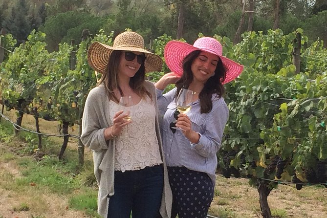 Private Wine Gourmet and Scenic Delights Tour From Blenheim - Tasting Opportunities