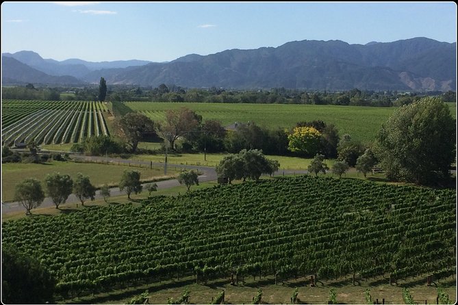 Private Wine Gourmet and Scenic Delights Tour From Picton - Indulging in Local Delicacies