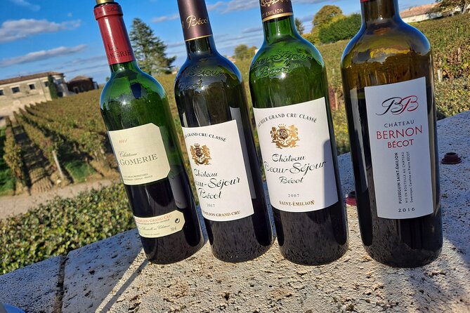 Private Wine Lovers - Super St Emilion - Behind the Scenes Visits Top Chateaux and Medieval Town - Wine Tasting Experience