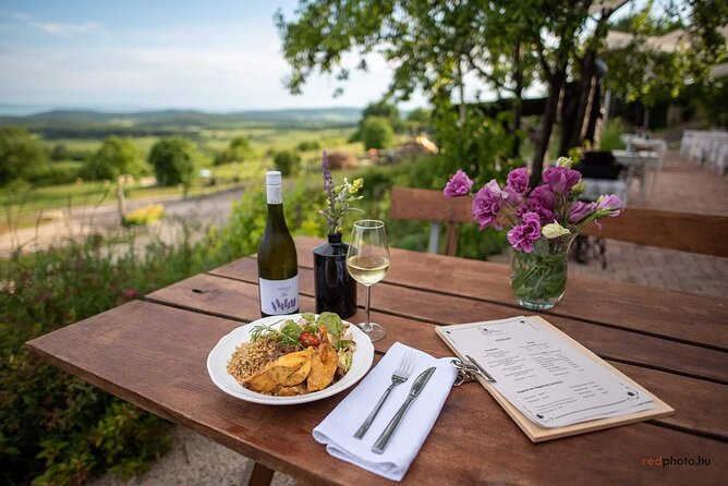 Private Wine Tasting and Sightseeing in the Historic Towns of Eger and Gyongyos - Transportation and Accessibility Details