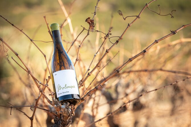 Private Wine Tasting and Walks in the Vineyards of Rivesaltes - Overview of the Experience