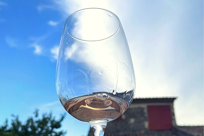 Private Wine Tasting at Home, Gulf of Saint-Tropez - Booking Information