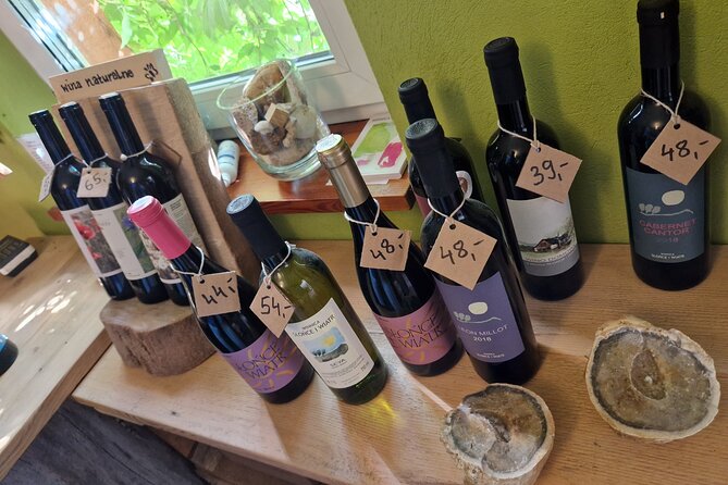 Private Wine Tasting at Vineyard From Krakow - Private Tour Experience