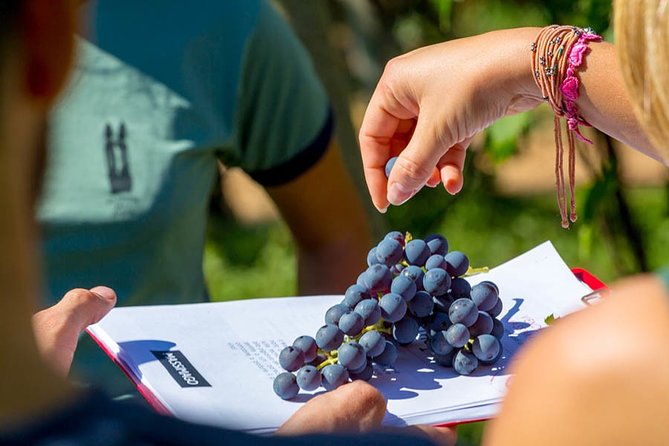 Private Wine Tasting in Mezzane Di Sotto - Meeting and Pickup