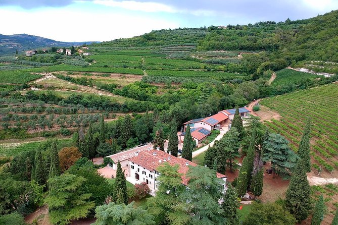 Private Wine Tasting in Mezzane Di Sotto - Booking Information