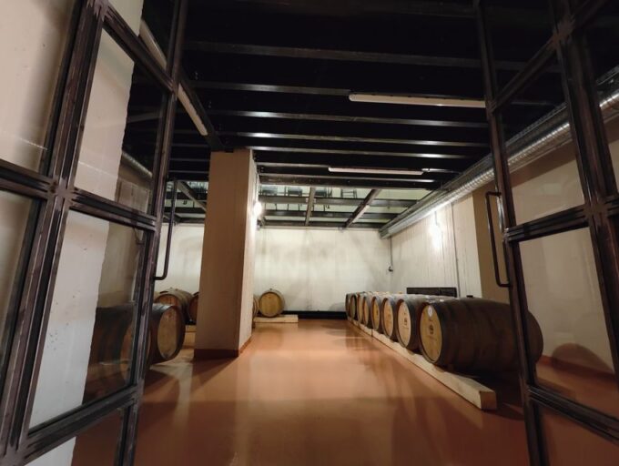 Private Wine Tasting in Santorini & Thirassia - Private Group Experience