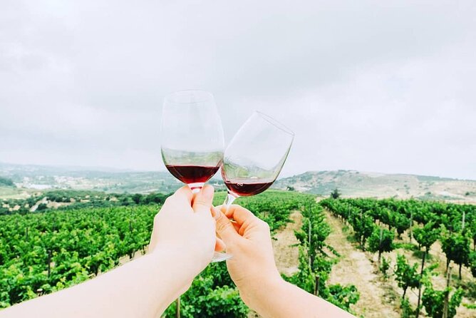Private Wine Tasting & Lunch @ Lyrarakis Winery - Transfer Inclu - Accessibility Information