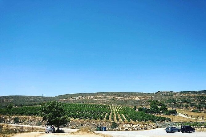Private Wine Tasting & Lunch @ Lyrarakis Winery - Transfer Inclu - Guest Reviews Summary