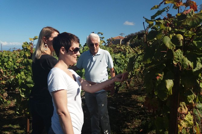Private Wine Tasting Tour - Pickup Point Locations