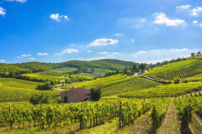 Private Wine Tasting Tour in Amsterdam With Wine Guide - Confirmation and Legal Drinking Age