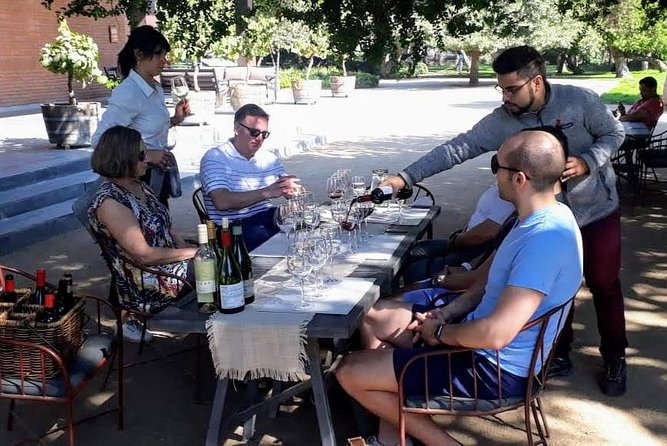 Private Wine Tasting Tour in Casablanca Valley Vineyards - Key Points