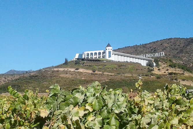 Private Wine Tasting Tour in Casablanca Valley Vineyards - Itinerary Details