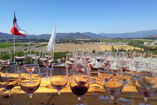 Private Wine Tasting Tour in Casablanca Valley Vineyards - Meeting and Pickup Information