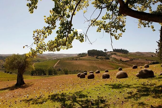 Private Wine Tasting Tour In Lisbon Wine Region - Inclusions