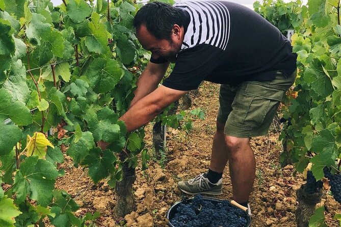 Private Wine Tasting Tour In Lisbon Wine Region - Pickup Information