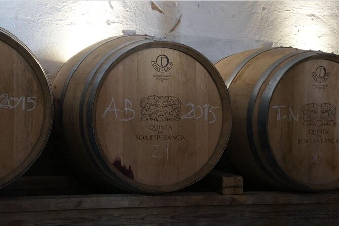 Private Wine Tasting Tour In Lisbon Wine Region - Additional Information