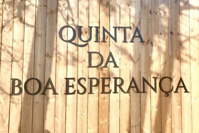 Private Wine Tasting Tour In Lisbon Wine Region - Guided Tour