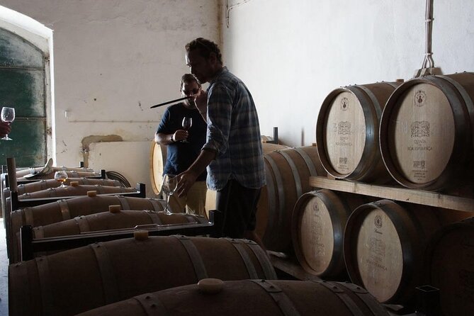 Private Wine Tasting Tour In Lisbon Wine Region - Dining Experience