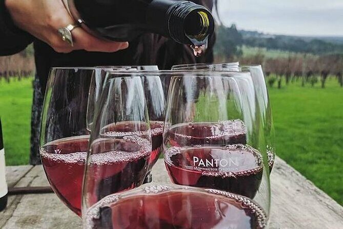 Private Wine Tasting Tour in Mornington Peninsula with Lunch - An In-Depth Look at What the Tour Offers