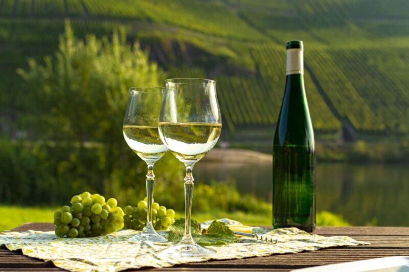 Private Wine Tasting Tour in Munich With a Wine Expert - Key Points