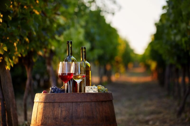 Private Wine Tasting Tour in Munich With a Wine Expert - Wine Experience
