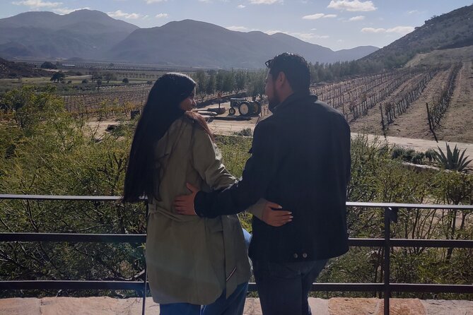 Private Wine Tasting Tour in Valle De Guadalupe - Tour Details