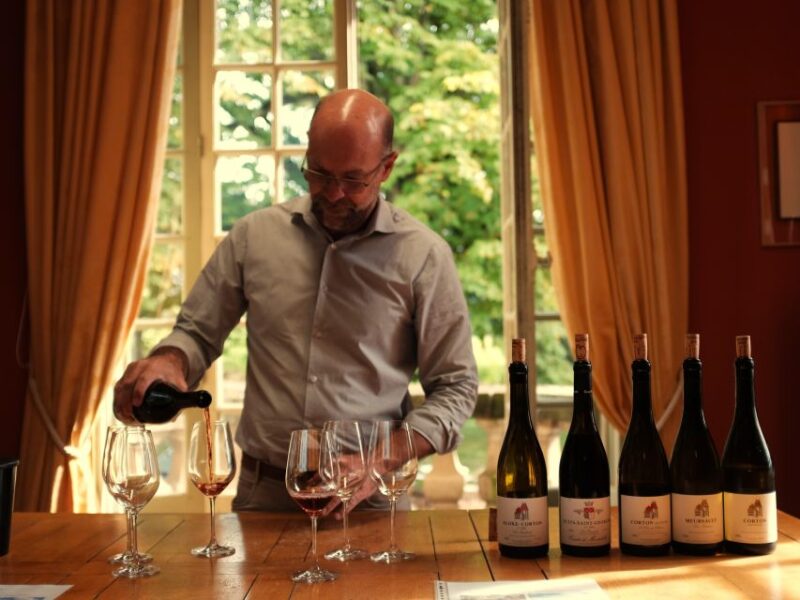 Private Wine-Tasting : Tour of Local Wine Producers. - Itinerary and Highlights