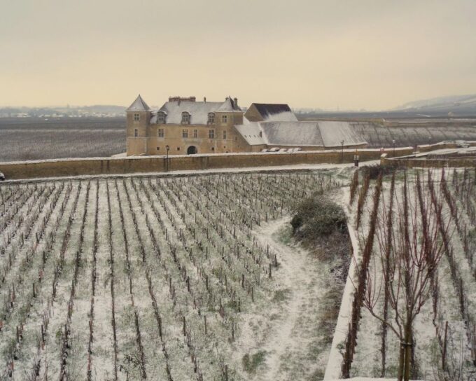 Private Wine-Tasting : Tour of Local Wine Producers. - Additional Information and Availability