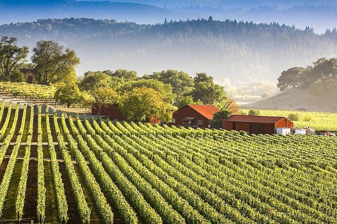 PRIVATE Wine Tasting Tour to the Bekaa Valey Fabulous Wineries - Tour Conditions