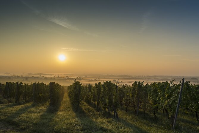 Private Wine Tasting Tour With Personal Driver - About the Tour Operator