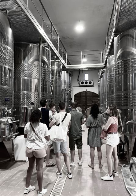 Private Wine Tastings Around Calvi & Île-Rousse - Key Points
