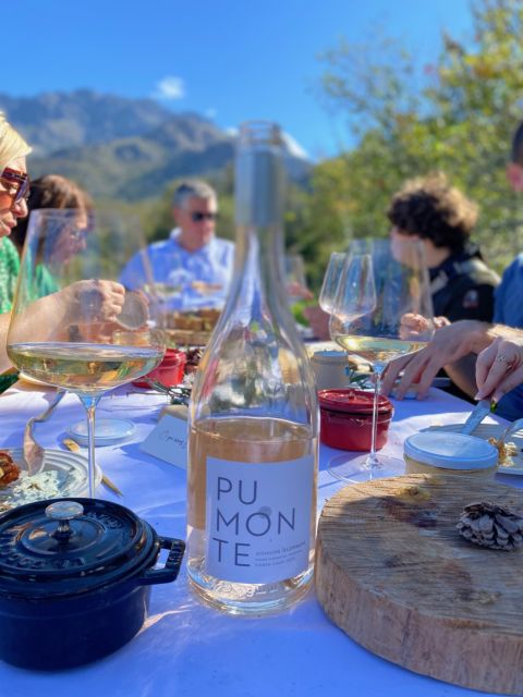 Private Wine Tastings Around Calvi & Île-Rousse - Exploring the Vineyards and Wineries