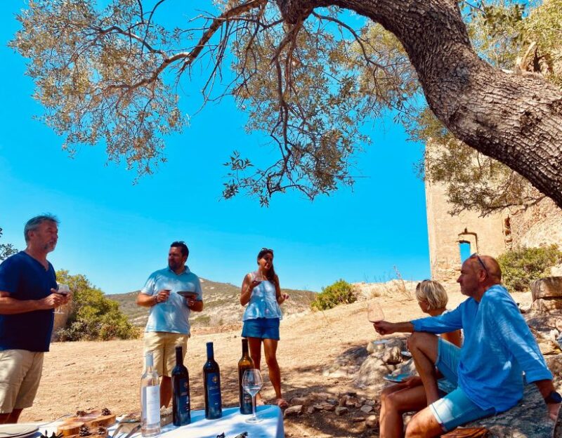 Private Wine Tastings Around Calvi & Île-Rousse - Savoring the Wines: Tasting and Learning