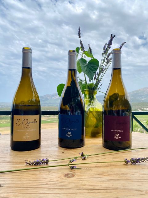 Private Wine Tastings Around Vineyards - Exploring Vineyards and Cellars