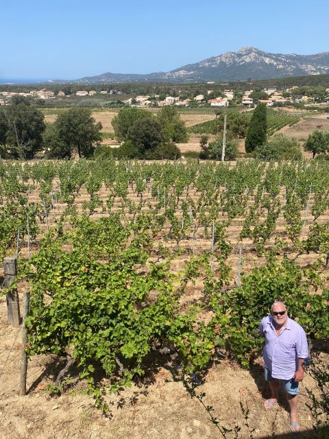 Private Wine Tour Around Ile Rousse & Calvi With Transport - Experience Highlights